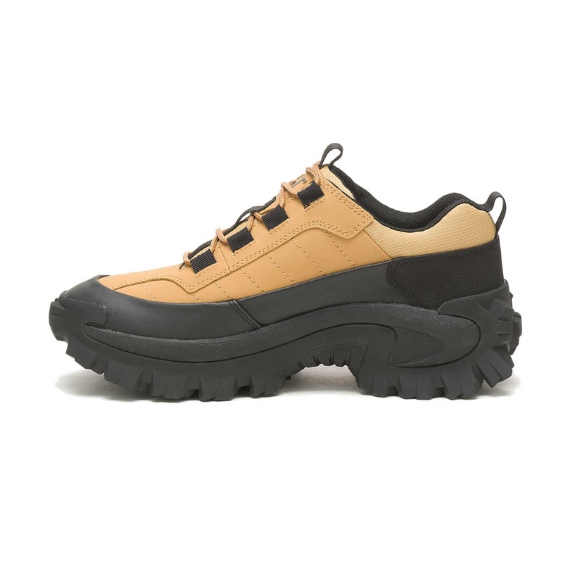 Women's CatFootweat Intruder Waterproof Galosh Shoes Black | 1064-FOERH