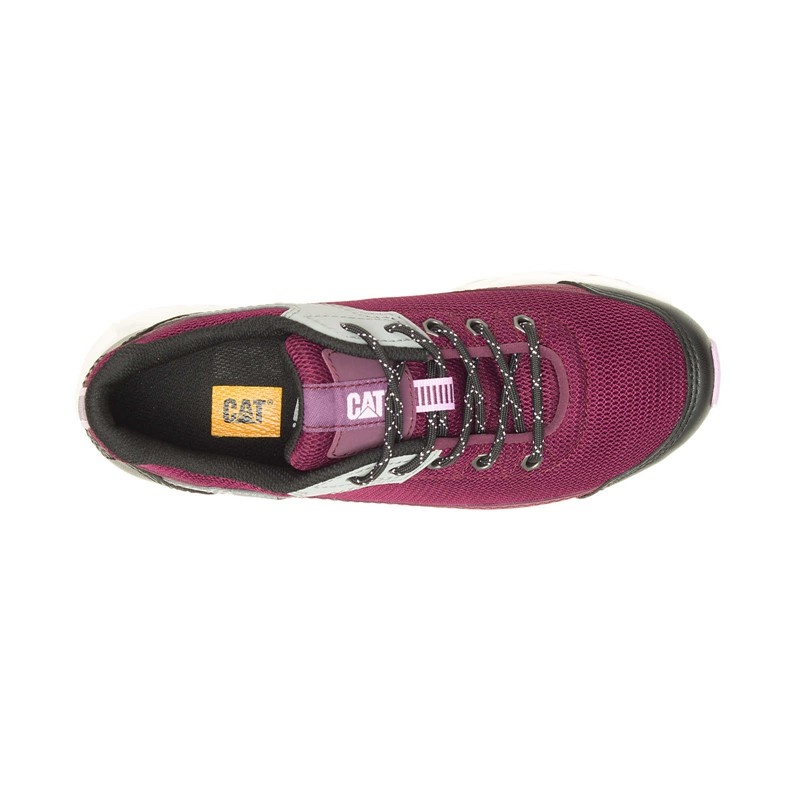 Women's CatFootweat Prorush Speed Fx Unisex Styles Shoes Purple | 5821-XDASK